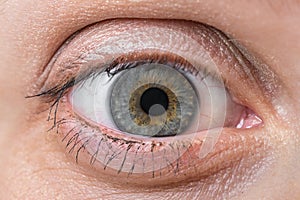 Detailed view of open eye of woman