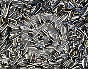 Close-Up of Sunflower Seeds in a Pile photo