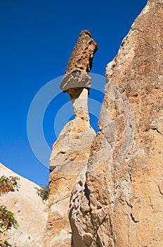 Detailed view top of the famous Fairy Chimneys or Multihead stone mushrooms in Pasaba Valley near Goreme. Blue sky background.