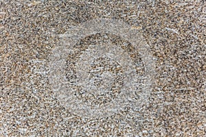 Detailed view of the typical texture of the granite stone