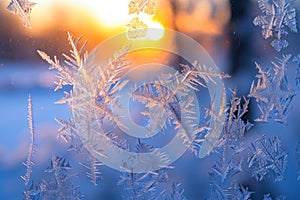 A detailed view of a window covered in frost with the sun shining in the distance, Highlighted details of frost on a windowpane,