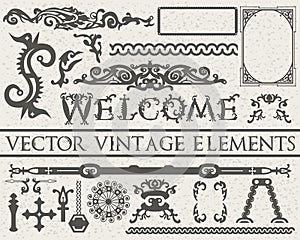 Detailed vintage elements in gothic style on beige vintage textured background. Vector illustration