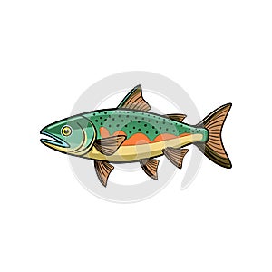 Detailed Webfooted Salmon Illustration Featuring Bright Colors