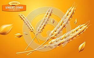 Detailed wheat ears, oats or barley isolated on a yellow background. Natural ingredient element. Healthy food or