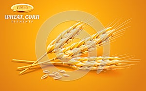 Detailed wheat ears, oats or barley isolated on a yellow background. Natural ingredient element. Healthy food or