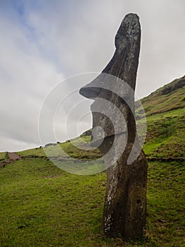 Detaill of a moai buried in Rano Raraku volcano, Easter island