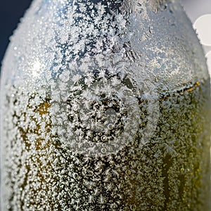 Details are accentuated by the lighting with a blurred background