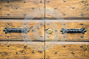 Details of an ancient Italian door.