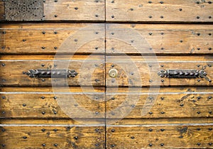 Details of an ancient Italian door.