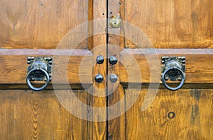 Details of an ancient Italian door.