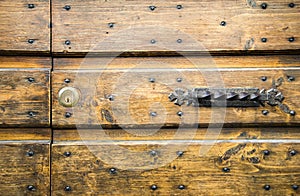 Details of an ancient Italian door.