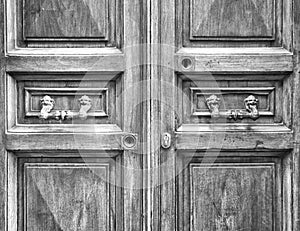 Details of an ancient Italian door.