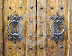 Details of an ancient Italian door.