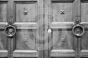 Details of an ancient Italian door.