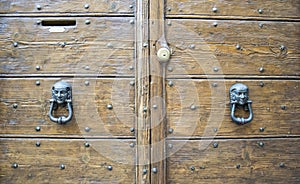 Details of an ancient Italian door.