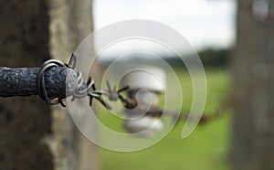 Auschwitz Barbed wire