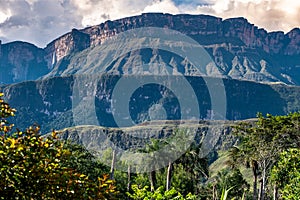 Details of Auyantepui Mountain, Venezuela