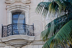 Details of a balcony next to a palm tree on El Prado