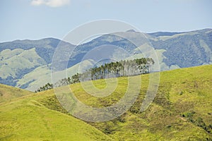 Details of bananal sao paulo