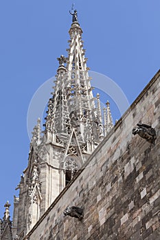 Details of Barcelona Cathedral in Gothic Quarter, Spain