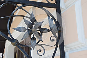 Details, beautiful ornament of a wrought-iron porch, canopy. Plant floral decorative element made of metal