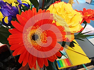 Bouquet of beautiful yellow, orange and violet flowers