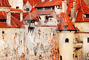 Details of the Bran Castle