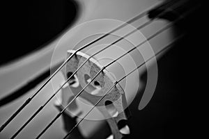 Details Of A Cello