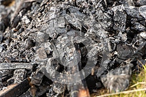 Details of charcoal burning on pit fire. Texture image