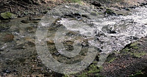 Details with the clear water of a running mountain stream during a cold and sunny winter day