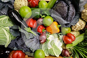 Details with colourful Romanian organic autumn crop vegetables in a wooden basket: onions, bell peppers, cauliflower, salads,