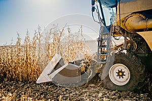 Details of combine harvester working in the fields. Agriculture Farmer working with machinery