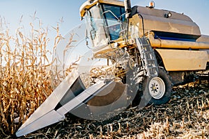 Details of Combine harvesting corn, working the fields during autumn harvest