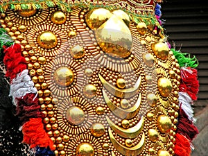 Details of decorated elephant caparison