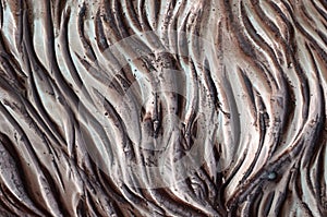 Details and decorative bas-relief ornament from metal of forged stamping iron gate as background texture