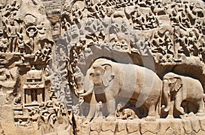 Details of Descent of the Ganges in Mahabalipuram, India