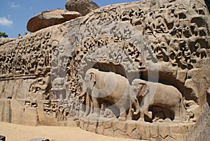 Details of Descent of the Ganges in Mahabalipuram, India