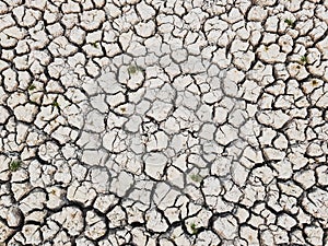 Details of a dried cracked earth soil ground background
