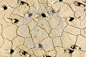 Details of a dried cracked seabed