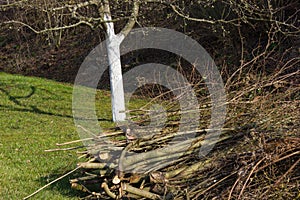 details of eastern time at rural countryside in south germany