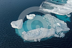 Details of Floating Sea Ice in the Arctic Ocean