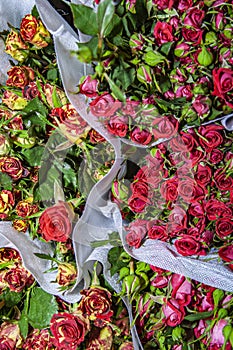 Details of flowers at Pak Khlong Talat, the biggest flower market in Asia