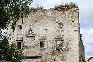 Details of the Gateway of Sataniv, Ukraine.