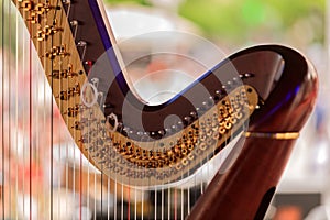 Details of harp