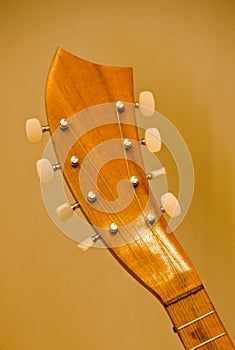 Details of headstock of mandolin