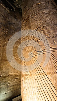 Details hieroglyphics on large column of Edfu Horus temple uplight in hall