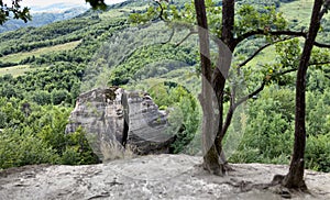 Details from hilltop near a wonderful place of Dragons Garden, Transylvania, Romania