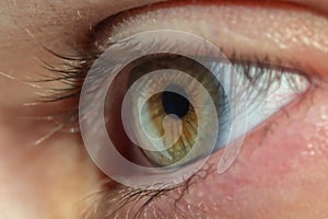 Human Eye Macro View