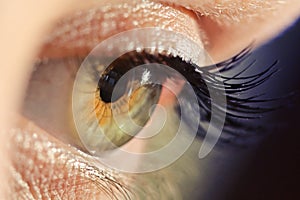 Details of Human Eye Macro View