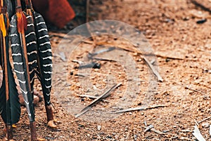 Details of indigenous arrowheads with feathers